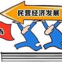 人民日報整版聚焦：如何正確看待民營經(jīng)濟的地位和作用
