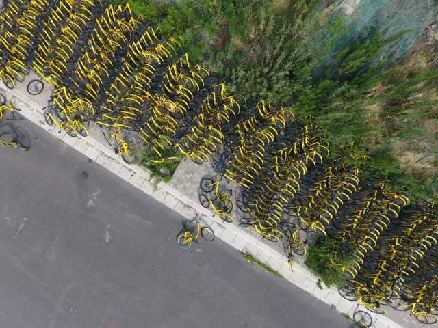 千萬人排隊退超10億元押金，被資本和市場拋棄的ofo如何熬過寒冬