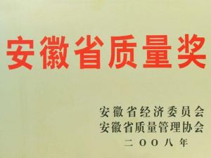 安徽政府質(zhì)量獎(jiǎng)申報(bào)
