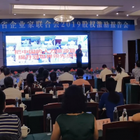 安徽企聯(lián)2019股權(quán)激勵(lì)報(bào)告會(huì)召開！