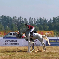 博天亞董事長(zhǎng)吳芷綺女士受邀參加 2019 中國(guó)碭山國(guó)際馬術(shù)耐力賽