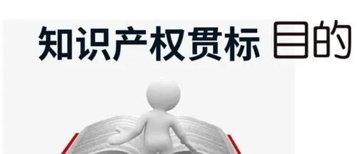 這邊看來(lái)！知識(shí)產(chǎn)權(quán)貫標(biāo)申請(qǐng)條件、流程、貫標(biāo)輔導(dǎo)周期一覽