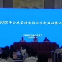 安徽博天亞集團(tuán)參加安徽省經(jīng)信廳2020年企業(yè)管理咨詢與診斷活動(dòng)培訓(xùn)班開(kāi)班儀式