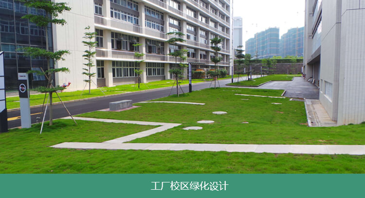 園林綠化養(yǎng)護(hù)