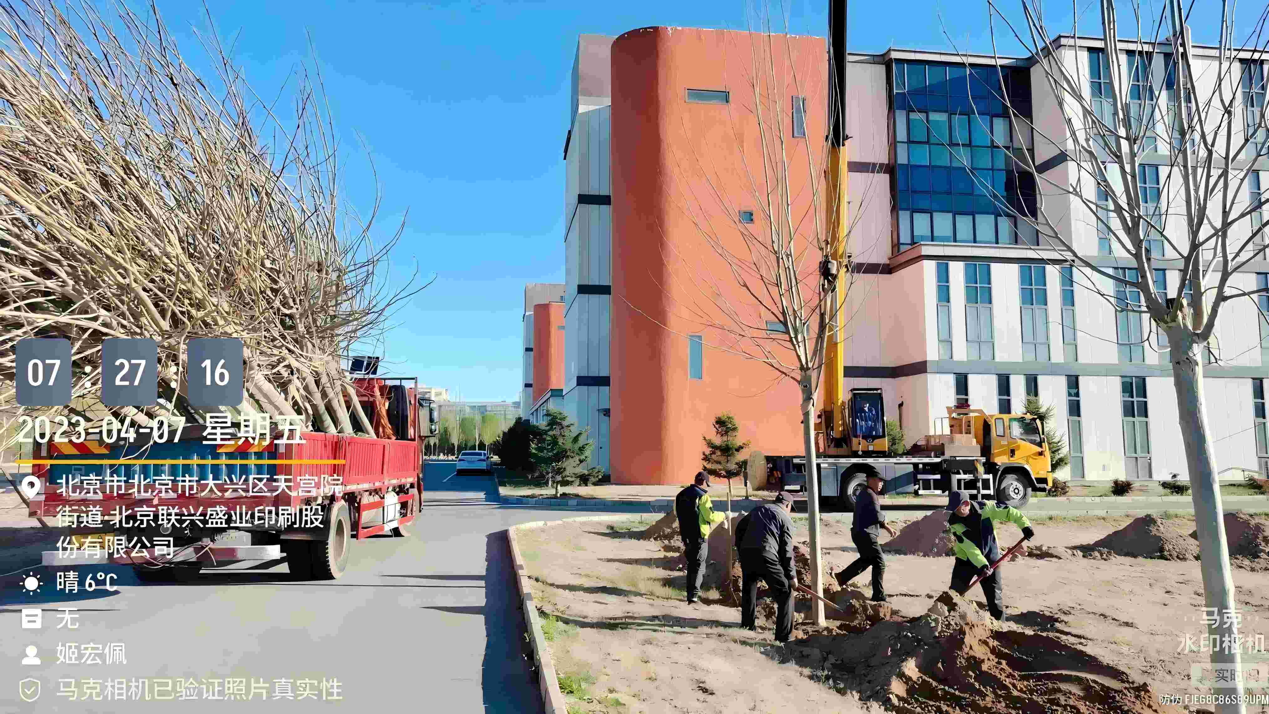 北京春季植樹最好的時間是什么時候？